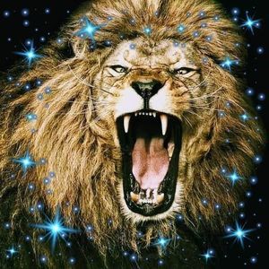 Meet your Posher, Henry